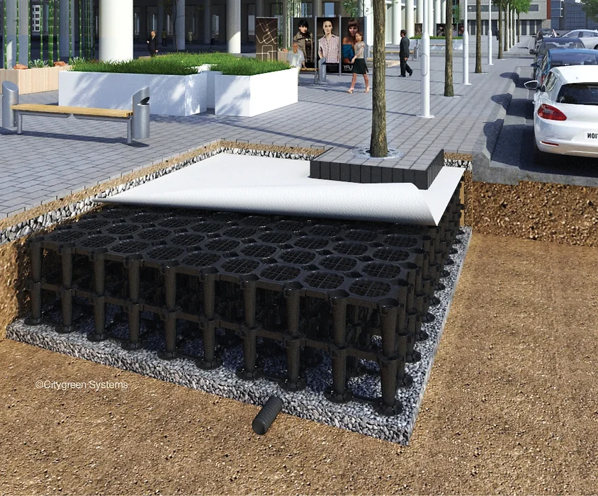 Structural Soil System