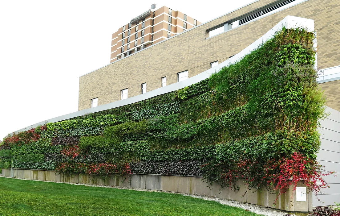 Green Walls