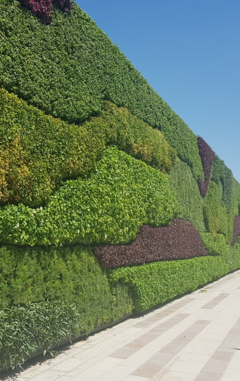 Wharf Cultural village