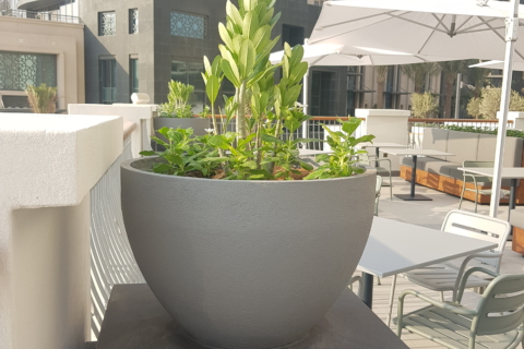 Vida Hotel
