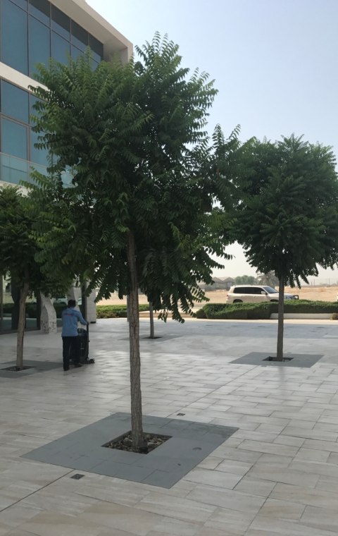 Office Development - Mirdiff